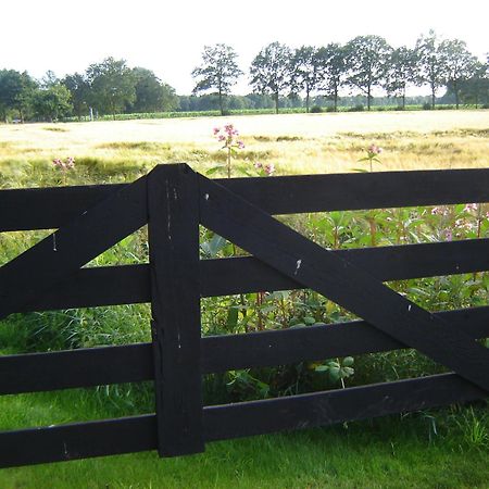 Bed En Breakfast De Boksloot Ravenswoud Exteriör bild