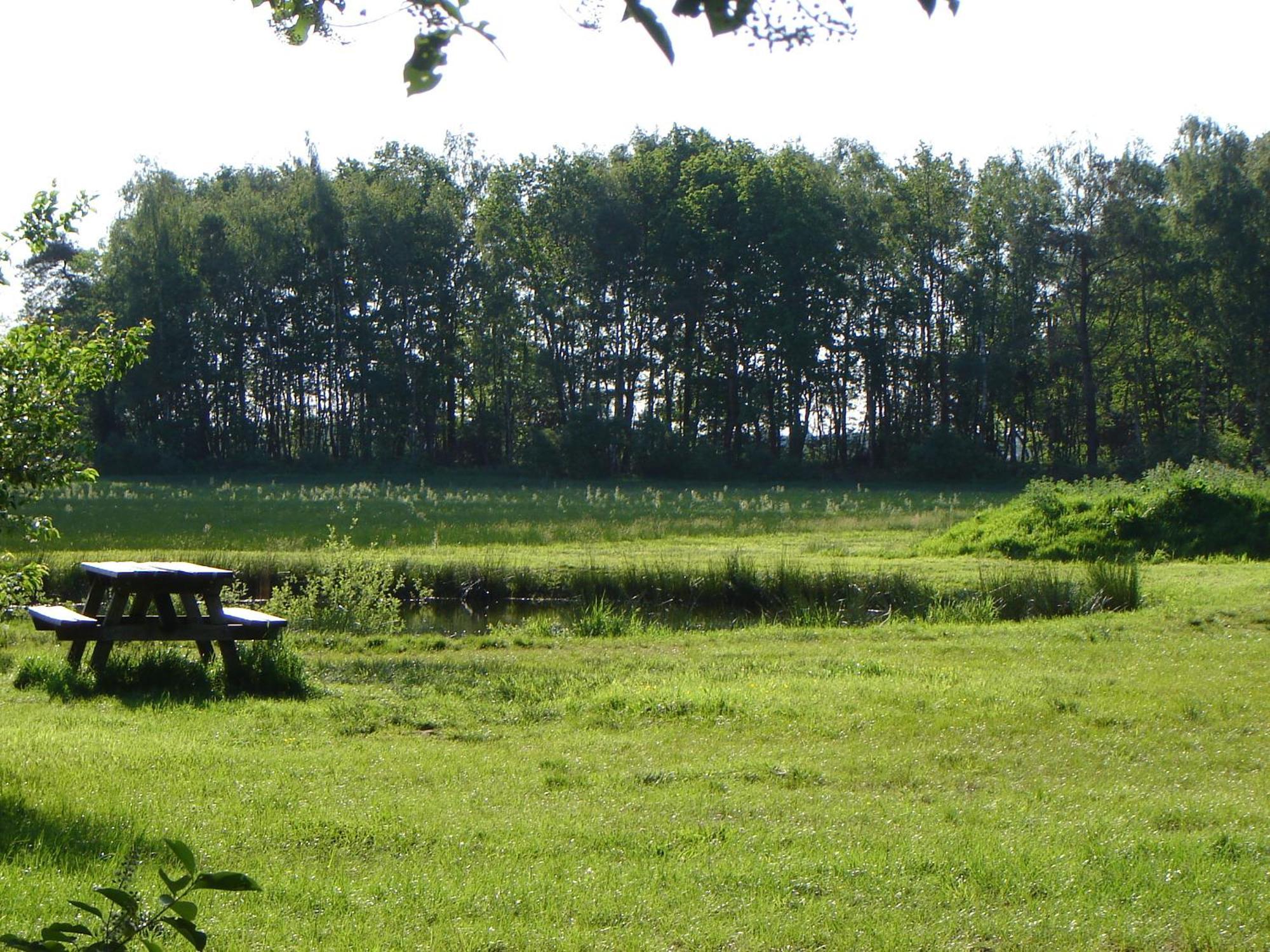 Bed En Breakfast De Boksloot Ravenswoud Exteriör bild