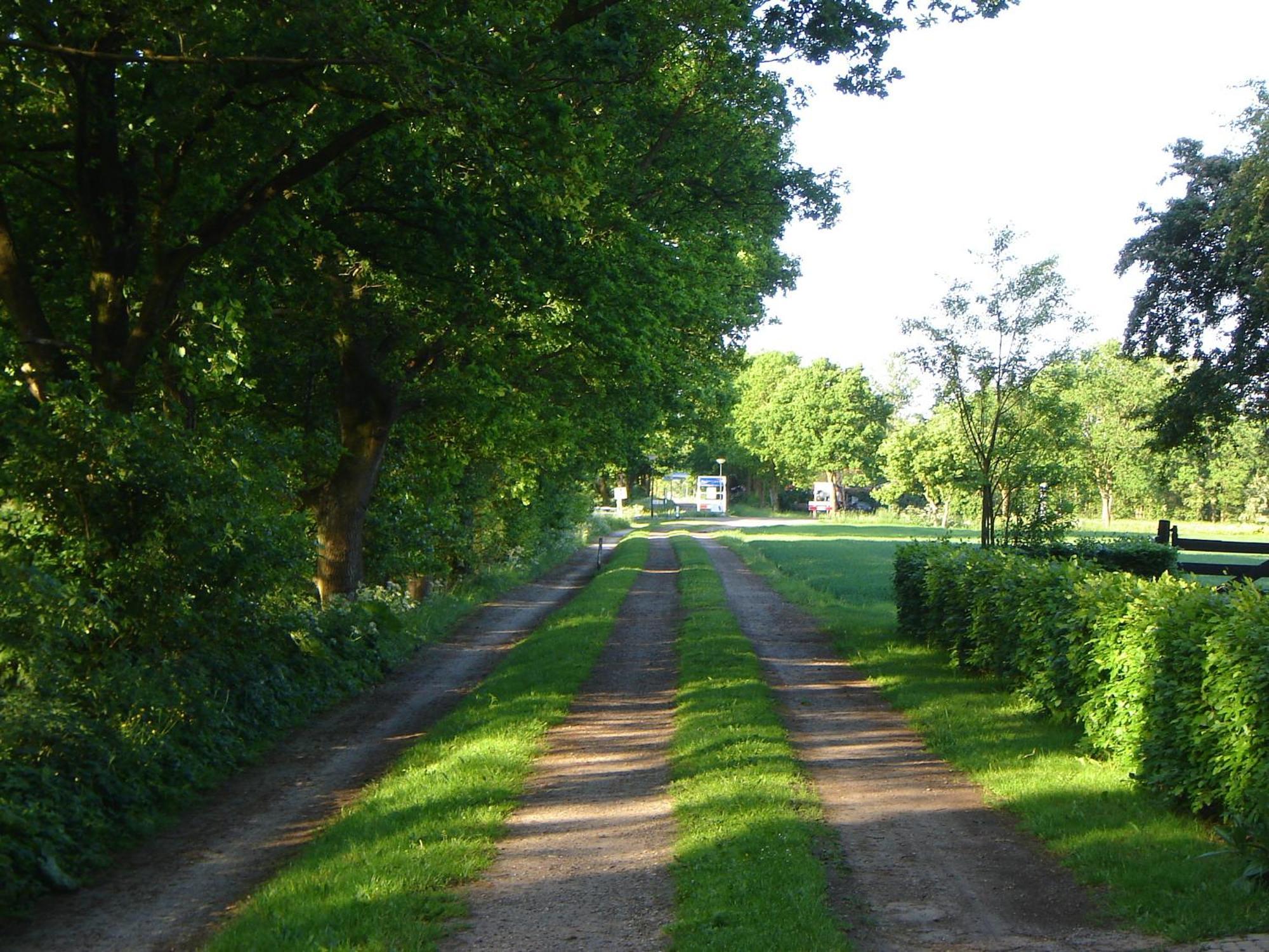 Bed En Breakfast De Boksloot Ravenswoud Exteriör bild
